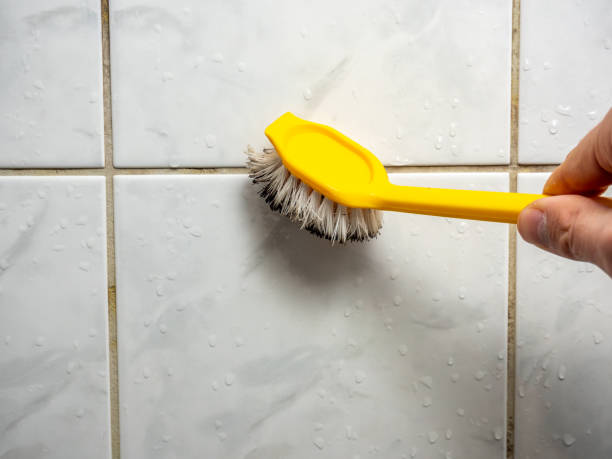 Best DIY Mold Remediation Support Services in Blytheville, AR
