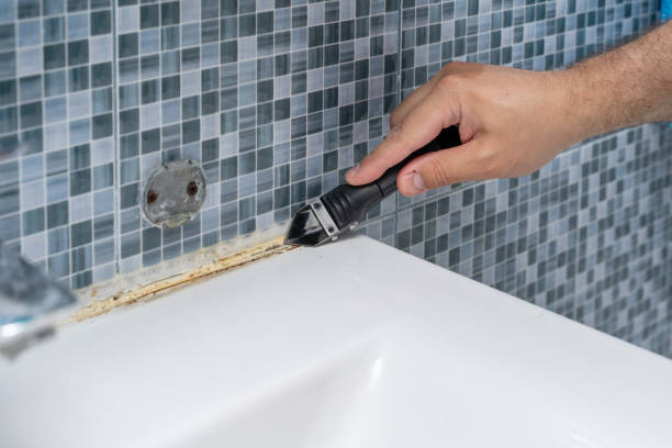 Reliable Blytheville, AR Mold Remediation Solutions